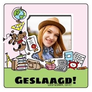 Geslaagd teksten Geslaagd teksten