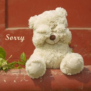 Sorry teksten Sorry teksten