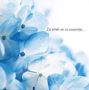 Sterkte kaart vader Sterkte kaart vader