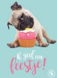 Uitnodigingsteksten feest Uitnodigingsteksten feest