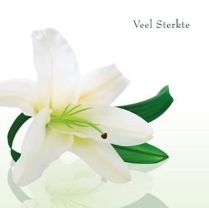 Veel sterkte kaart Veel sterkte kaart