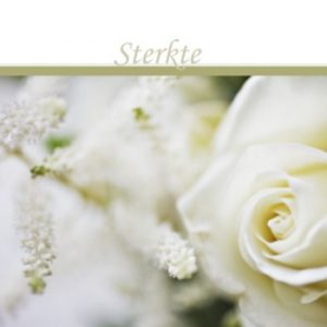 https://www.tekst.nl/sterkte/ Sterkte